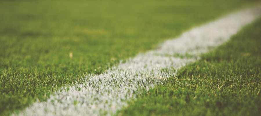 a painted white line on a grass pitch
